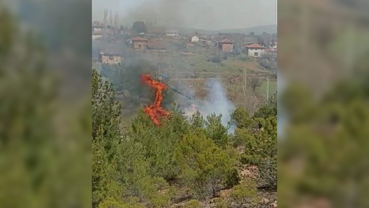 İzmir ve Uşak'da orman yangını